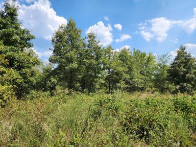 Winding Stair Mountain Home Site – National Forest Area - image 11