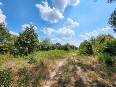 Winding Stair Mountain Home Site – National Forest Area - image 5