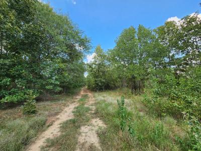 Winding Stair Mountain Home Site – National Forest Area - image 9