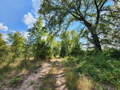 Winding Stair Mountain Home Site – National Forest Area - image 4