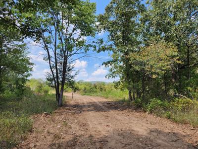 Winding Stair Mountain Home Site – National Forest Area - image 8