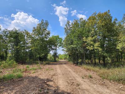 Winding Stair Mountain Home Site – National Forest Area - image 6