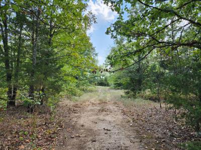 Winding Stair Mountain Home Site – National Forest Area - image 3