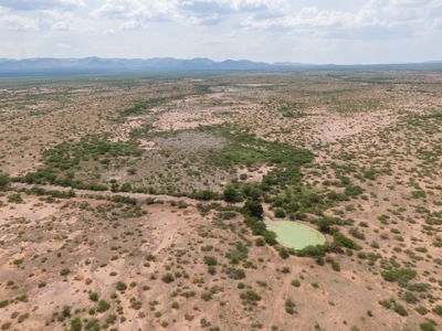 *PENDING* LAND AUCTION - 383.38+/- Ac, McNeal, AZ - image 5