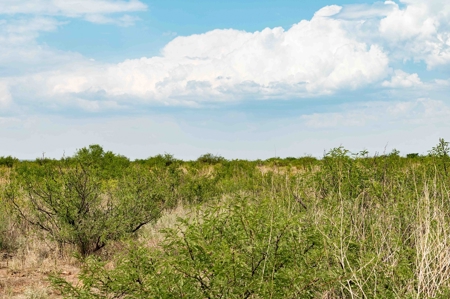 *PENDING* LAND AUCTION - 383.38+/- Ac, McNeal, AZ - image 9