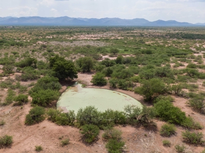 *PENDING* LAND AUCTION - 383.38+/- Ac, McNeal, AZ - image 6