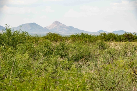 *PENDING* LAND AUCTION - 383.38+/- Ac, McNeal, AZ - image 8