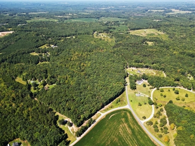 16 Acres Retreat In Southern VA - image 1