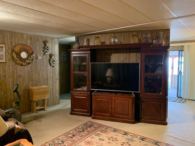 Furnished 2 Bedroom on fenced lot in Salome, AZ - image 24