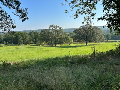 Land FOR SALE with MOUNTAIN VIEWS - image 5
