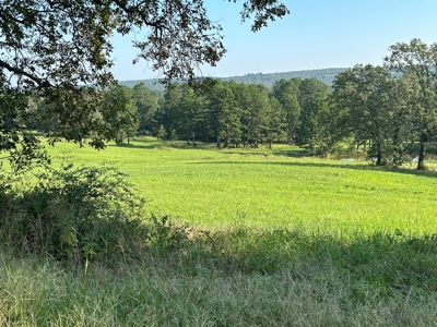 Land FOR SALE with MOUNTAIN VIEWS - image 2