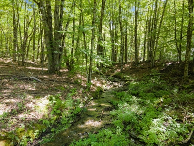 Country Home on Acreage For Sale in Milford, New York! - image 1
