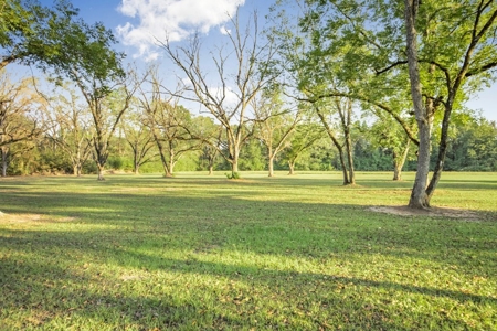 Turnkey Hunting Camp with 120 Acres for Sale Southeast LA - image 31