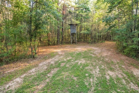 Turnkey Hunting Camp with 120 Acres for Sale Southeast LA - image 40