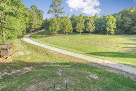 Turnkey Hunting Camp with 120 Acres for Sale Southeast LA - image 32