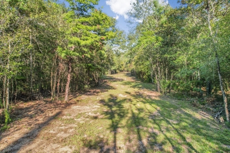 Turnkey Hunting Camp with 120 Acres for Sale Southeast LA - image 35