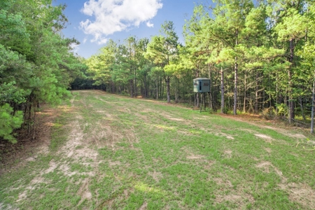 Turnkey Hunting Camp with 120 Acres for Sale Southeast LA - image 44