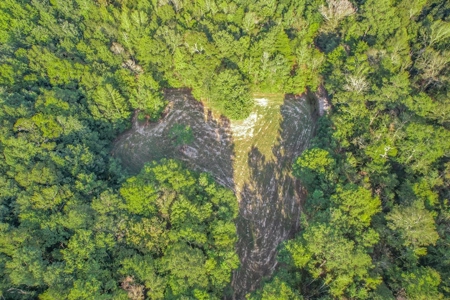 Turnkey Hunting Camp with 120 Acres for Sale Southeast LA - image 36