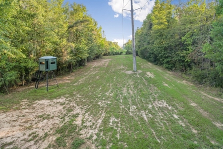Turnkey Hunting Camp with 120 Acres for Sale Southeast LA - image 7