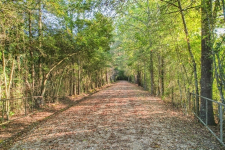 Turnkey Hunting Camp with 120 Acres for Sale Southeast LA - image 2