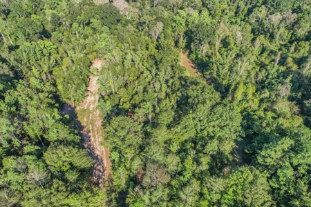 Turnkey Hunting Camp with 120 Acres for Sale Southeast LA - image 3
