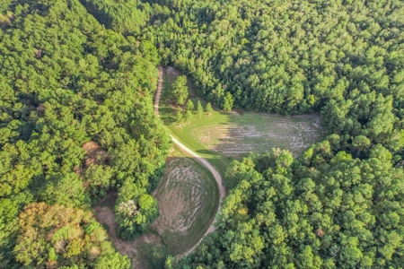 Turnkey Hunting Camp with 120 Acres for Sale Southeast LA - image 37