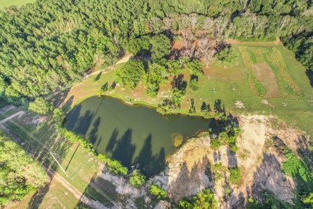 Turnkey Hunting Camp with 120 Acres for Sale Southeast LA - image 45
