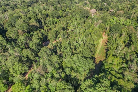 Turnkey Hunting Camp with 120 Acres for Sale Southeast LA - image 43