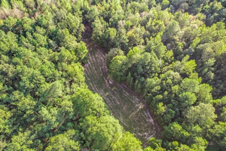 Turnkey Hunting Camp with 120 Acres for Sale Southeast LA - image 41