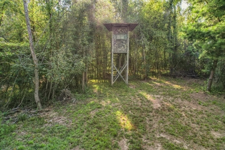 Turnkey Hunting Camp with 120 Acres for Sale Southeast LA - image 46