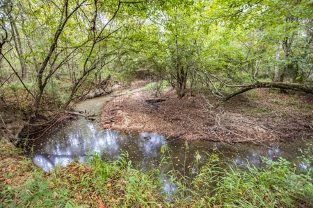 Turnkey Hunting Camp with 120 Acres for Sale Southeast LA - image 38