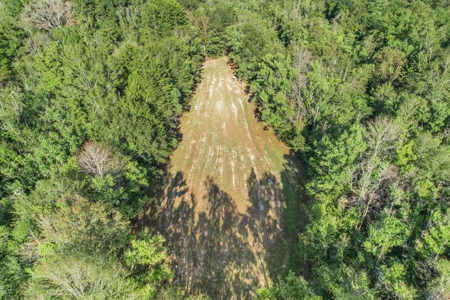 Turnkey Hunting Camp with 120 Acres for Sale Southeast LA - image 33
