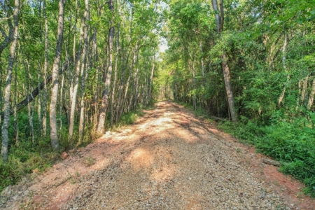 Turnkey Hunting Camp with 120 Acres for Sale Southeast LA - image 39