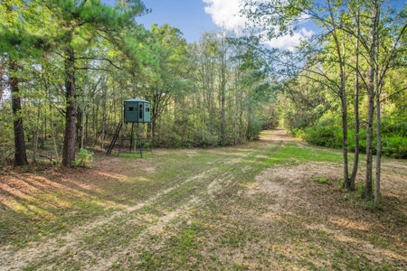 Turnkey Hunting Camp with 120 Acres for Sale Southeast LA - image 34