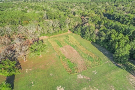 Turnkey Hunting Camp with 120 Acres for Sale Southeast LA - image 42