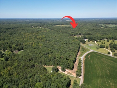 10 Acres In Southern VA - image 1