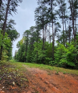 10 Acres In Southern VA - image 5