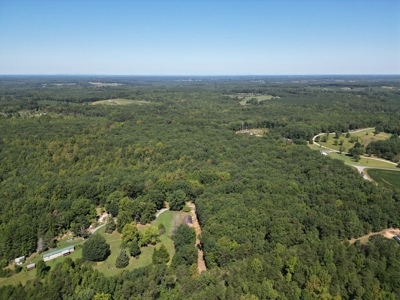 10 Acres In Southern VA - image 2