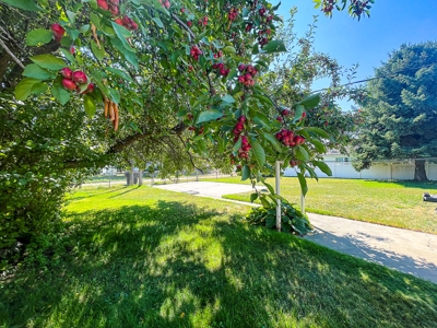 Spacious 3,000 +/- SQFT Home Malta Montana Move-in Ready - image 46