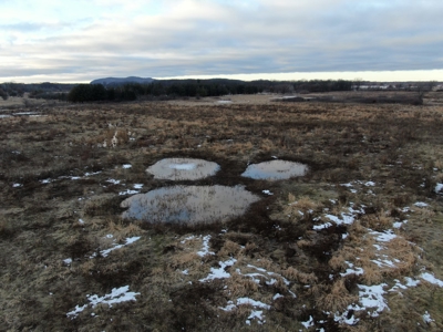 77 Acres in Lyndon Station Juneau County Online Only Auction - image 44