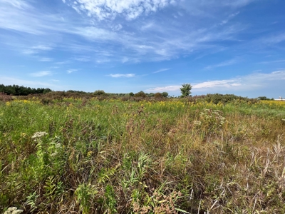 77 Acres in Lyndon Station Juneau County Online Only Auction - image 38