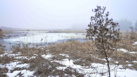77 Acres in Lyndon Station Juneau County Online Only Auction - image 9