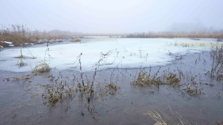77 Acres in Lyndon Station Juneau County Online Only Auction - image 12