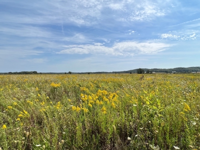 77 Acres in Lyndon Station Juneau County Online Only Auction - image 40