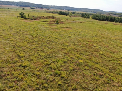 77 Acres in Lyndon Station Juneau County Online Only Auction - image 30