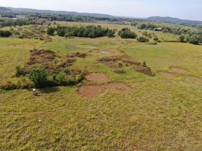 77 Acres in Lyndon Station Juneau County Online Only Auction - image 21