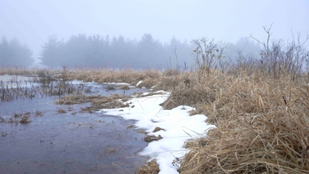 77 Acres in Lyndon Station Juneau County Online Only Auction - image 23