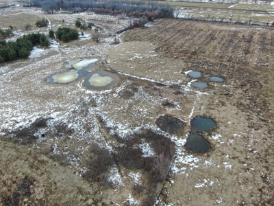 77 Acres in Lyndon Station Juneau County Online Only Auction - image 5