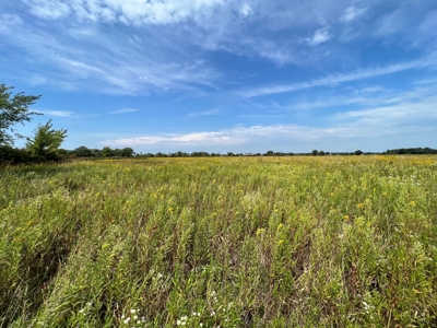 77 Acres in Lyndon Station Juneau County Online Only Auction - image 34