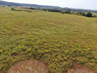 77 Acres in Lyndon Station Juneau County Online Only Auction - image 29